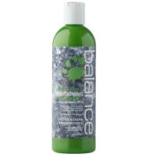 Green Apple Balance Shampoo