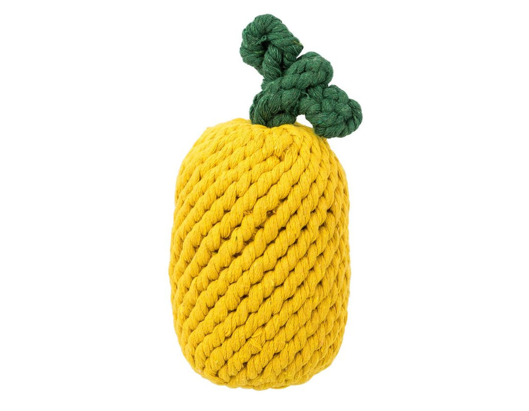 Pineapple Rope Toy