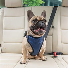 Load image into Gallery viewer, Happy Ride Vehicle Safety Harness
