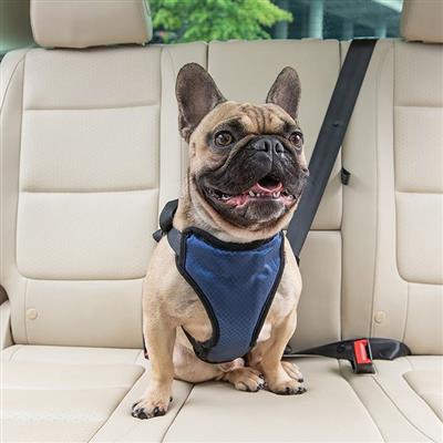 Happy Ride Vehicle Safety Harness
