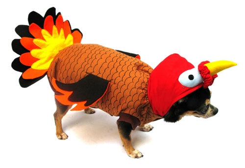Turkey Halloween Costume